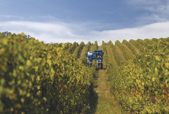 ITTL CEVIT: 40 ANIVERSARIO DE LAS VENDIMIADORAS NEW HOLLAND- BRAUD