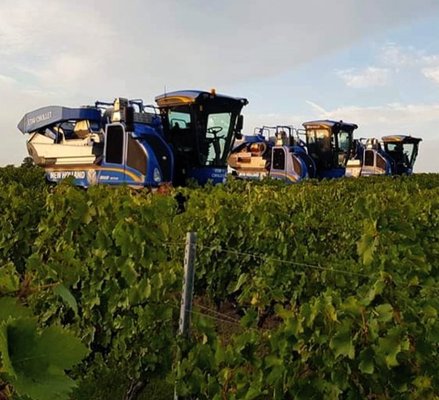 Despalillador Combi-Grape de New Holland – Braud