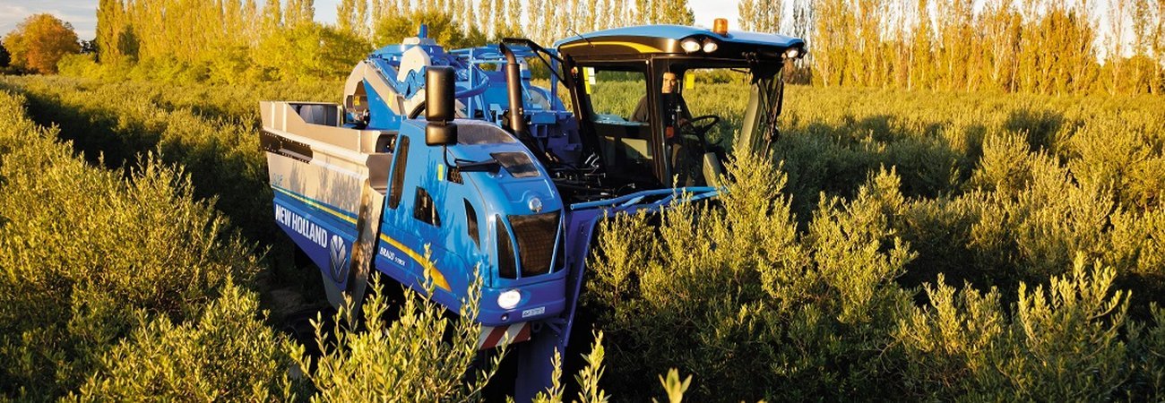 Grape and Olive Harvesters