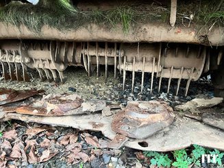 Mower conditioner Kuhn FC 284 D - 9